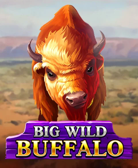 Play Big Wild Buffalo at Jackpot Mania Casino